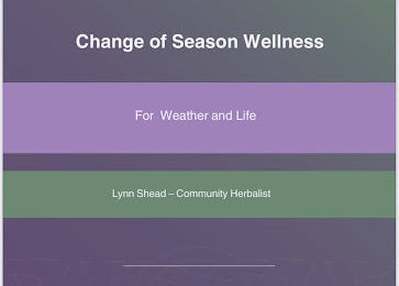 Free Herbal Wellness Guide - Irish Natural Remedies Sample