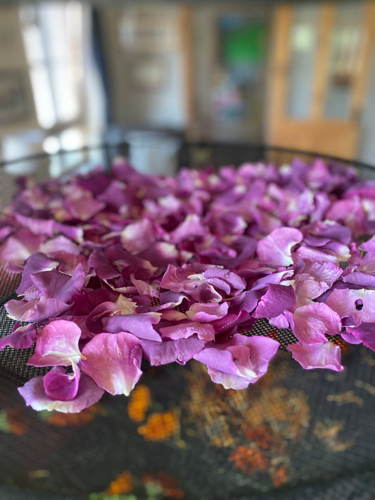 Fresh rose petals drying for small-batch natural skincare — Natures Alchemy Ireland