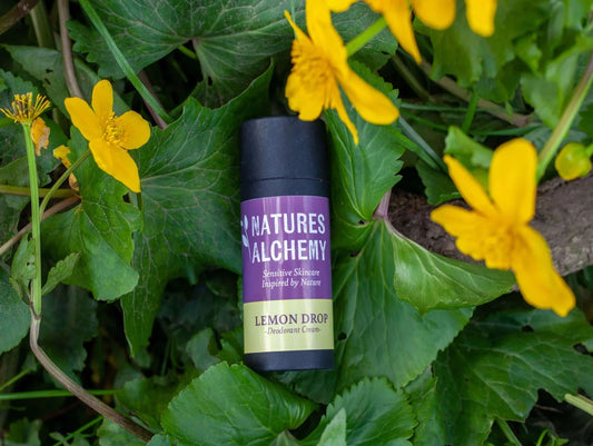Natures Alchemy Lemon Drop natural deodorant cream in compostable packaging, surrounded by yellow wildflowers in Ireland
