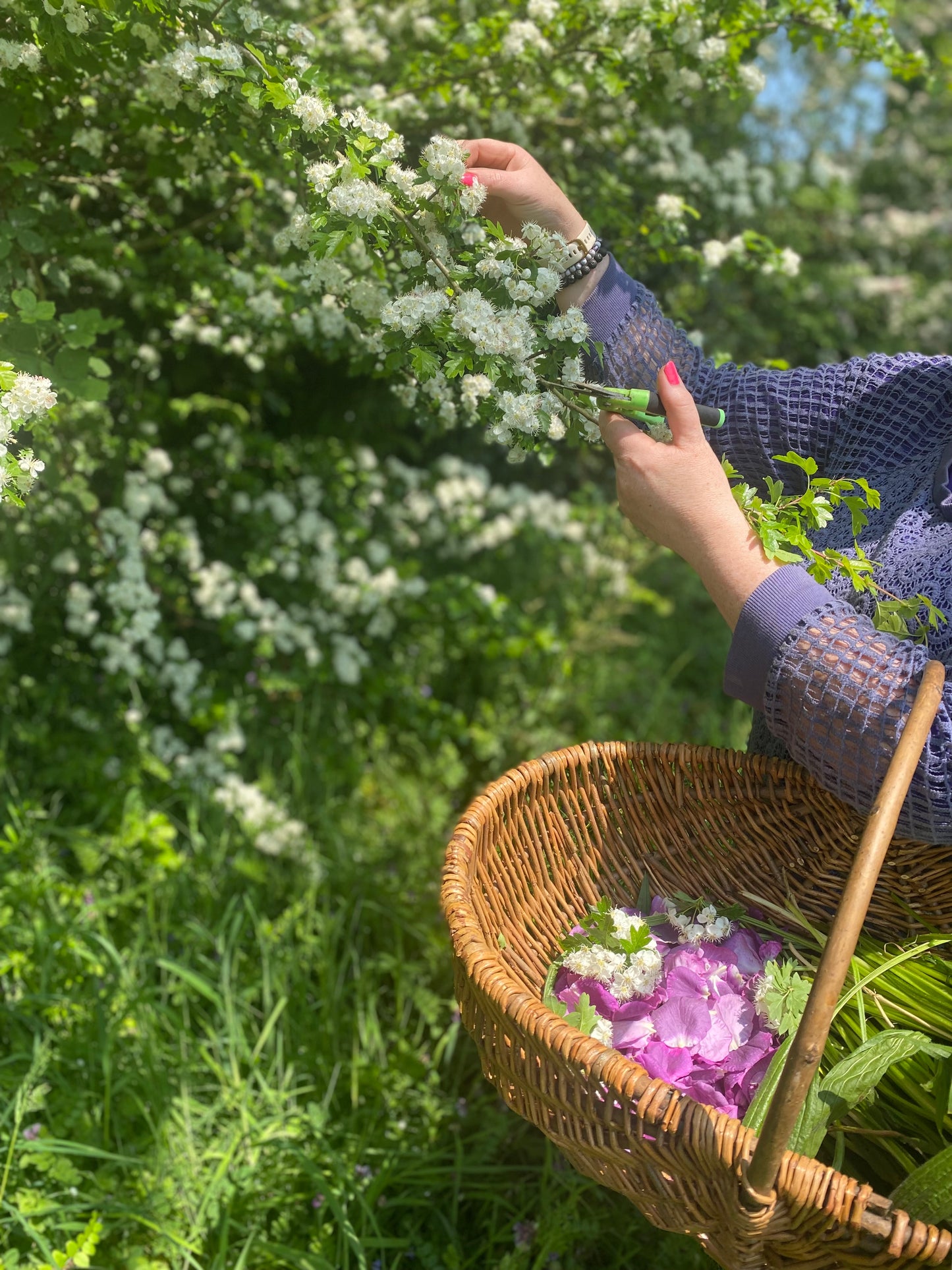 Seasonal Foraging & Wellness Retreat