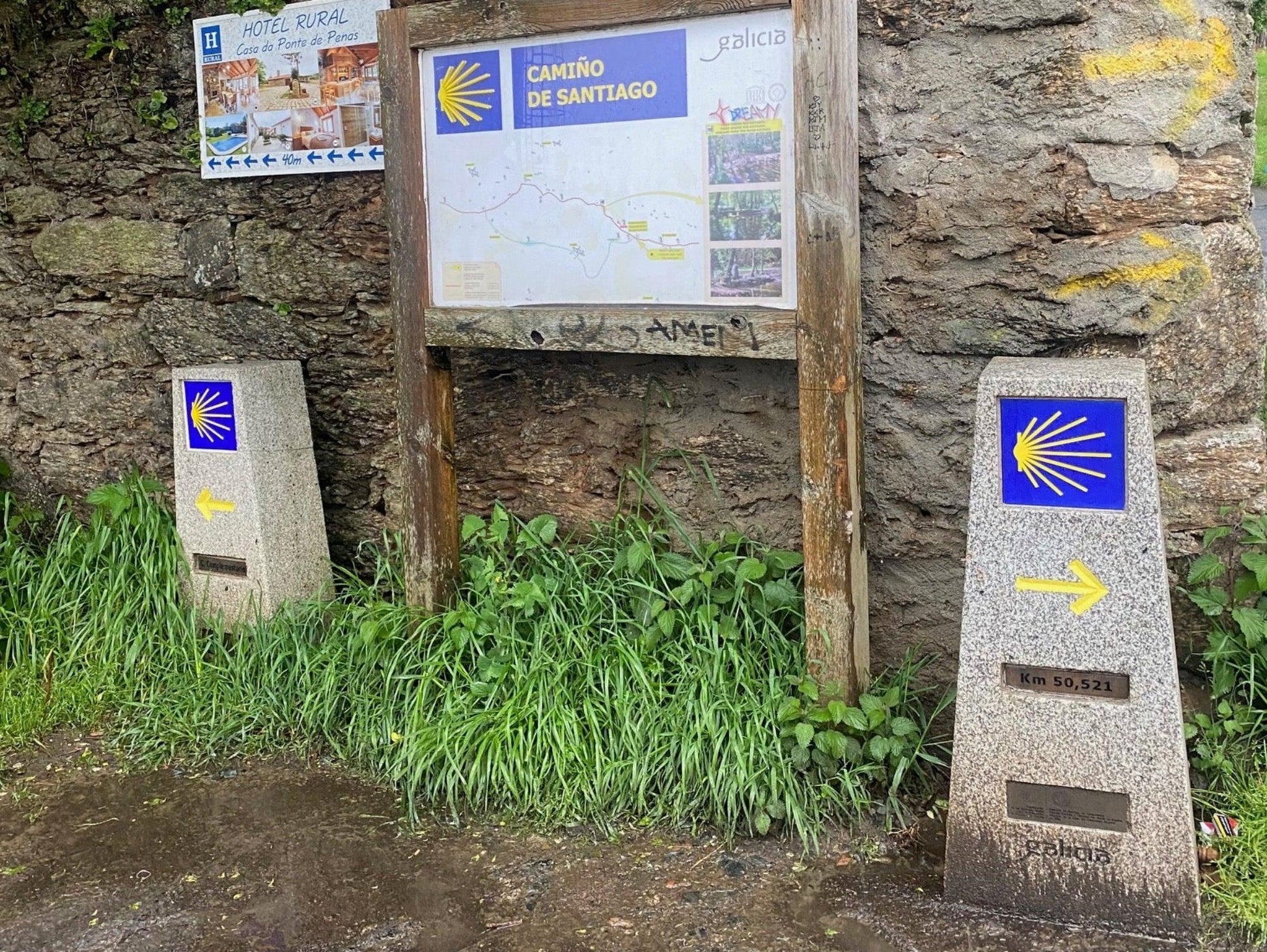 The Camino Bundle - Natures Alchemy