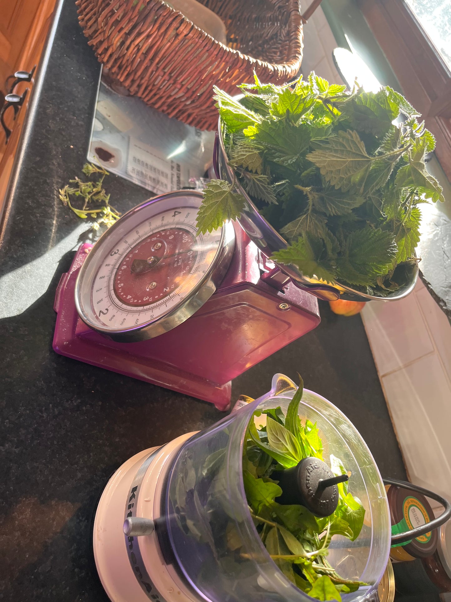 Seasonal Foraging & Wellness Retreat