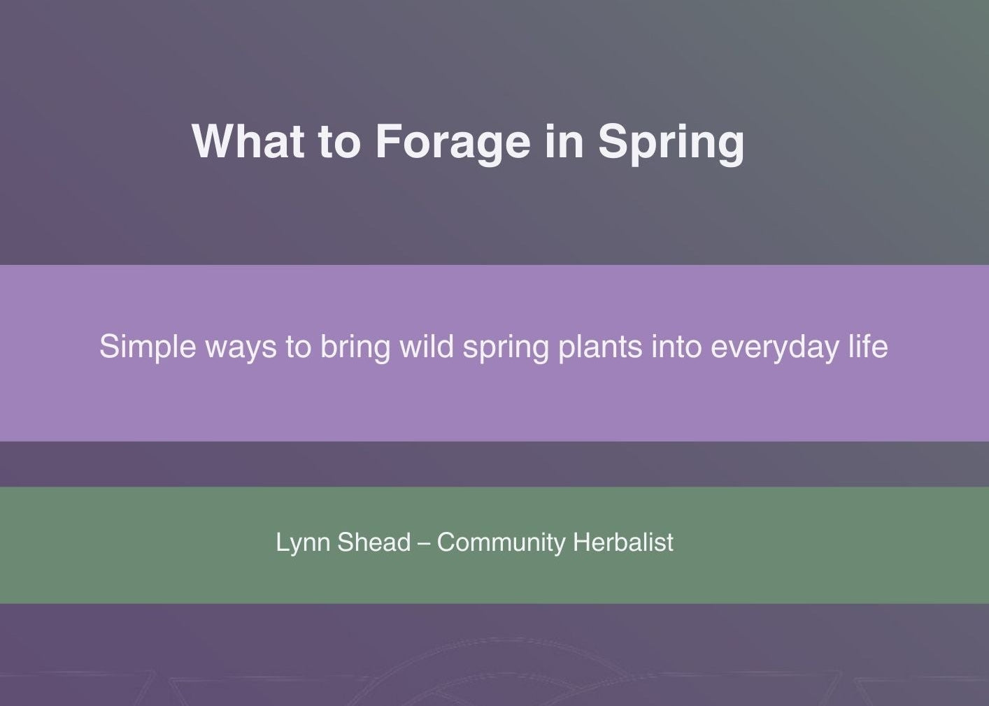 Book cover of 'What to Forage in Spring' by Lynn Shead with a purple and green gradient.