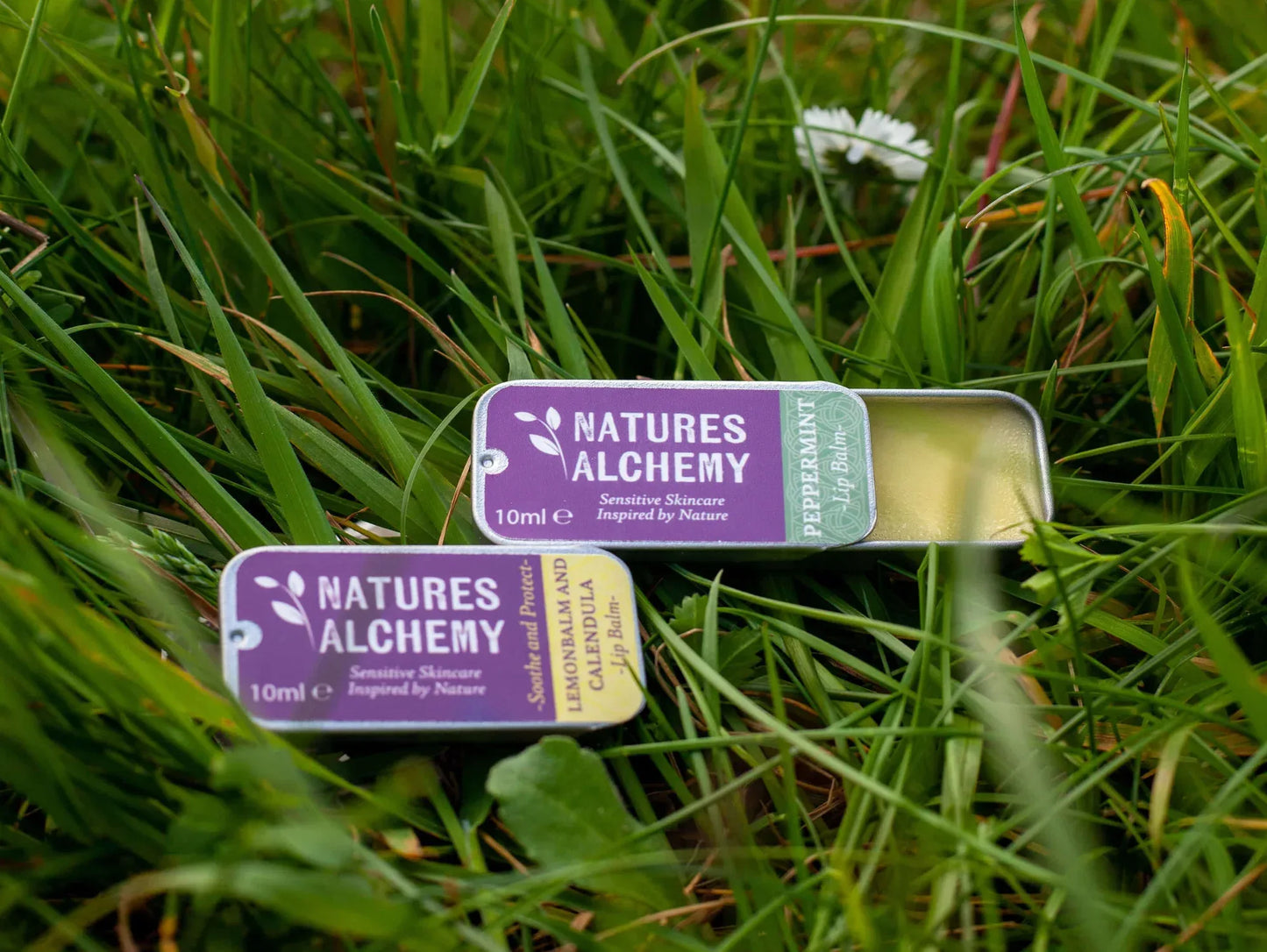 Natural Lip Balm | Sustainable Irish Skincare - Natures Alchemy